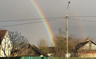 Фото из соцсетей