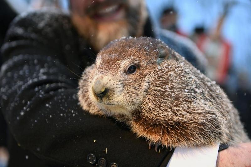 Фото REUTERS