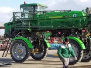 Зелёный барс