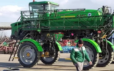 Зелёный барс