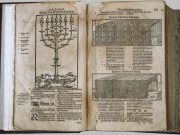 Берасцейская Біблія. Фота: Muzeum Podlaskie w Białymstoku