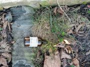 Фото жительницы из соцсетей