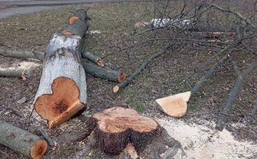 Фото из соцсетей