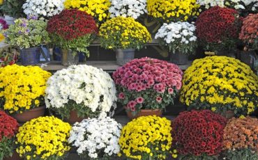 Фото ua.depositphotos.com