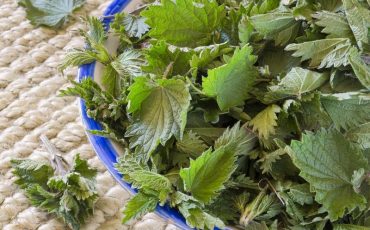 Фото ua.depositphotos.com