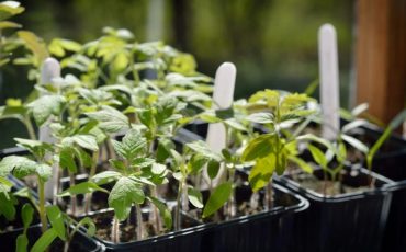 Фото ua.depositphotos.com