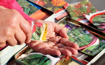 Фото depositphotos.com