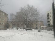 Микашевичи 4 марта 2023 года. Фото из соцсетей