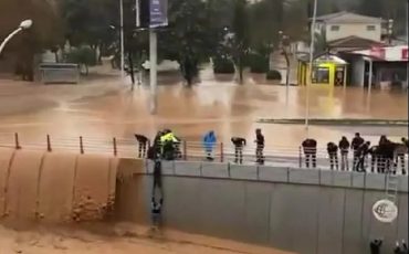 Скриншот видео