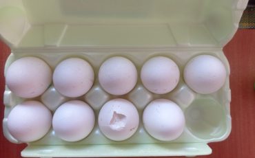 Фото из соцсетей