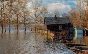 Фото с сайта Столинского ЦГиЭ