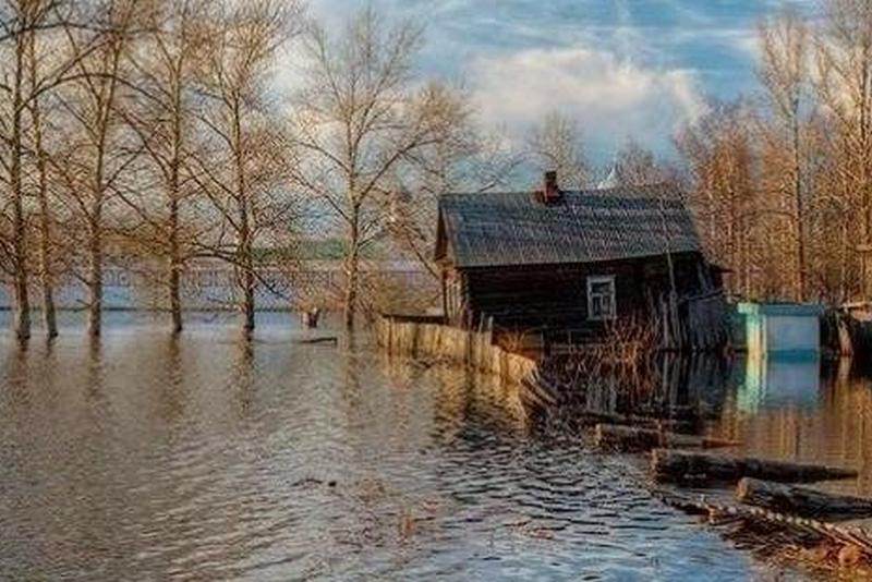 Фото с сайта Столинского ЦГиЭ