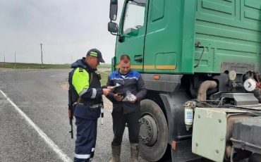 Сотрудник ГАИ проверяет документы у водителей в Ветковском районе. Фото: телеграм-канал «Голос Ветковщины»