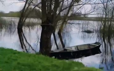 Скриншот видео