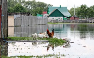 Разлив Горыни в 2019 году. Фото из архива МП.