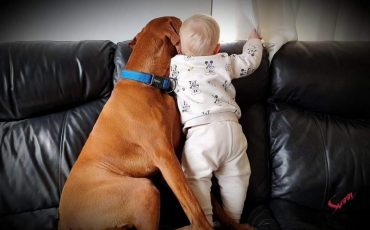 Фото: агентство 