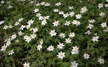 Фото Павла Куницкого из facebook