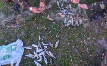 Фото Пинский телеграм