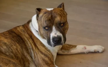 Фото используется в качестве иллюстрации