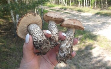 Фото Яна Соколовская из соцсетей