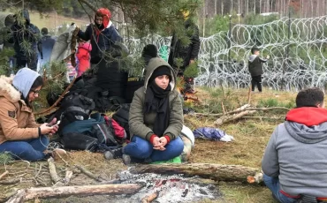 Нелегальные мигранты на границе Беларуси / Sputnik