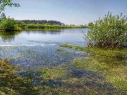 Городищенское озеро. Фото Сергей Демьянов