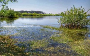 Городищенское озеро. Фото Сергей Демьянов