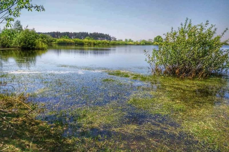 Городищенское озеро. Фото Сергей Демьянов