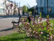 Фото Александр Шатохин из соцсетей