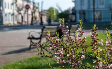 Фото Александр Шатохин из соцсетей