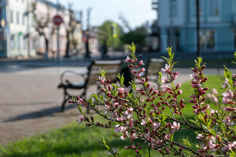 Фото Александр Шатохин из соцсетей
