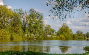 Фото из соцсетей. Автор: Сергей Демьянов