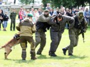 Фото из архива МП