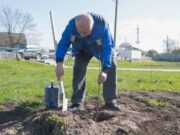 Закладка сквера в Микашевичах в апреле 2023 года. Фото использовано в качестве иллюстрации. Фото РУПП 