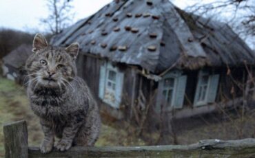 Фото использовано в качестве иллюстрации, из открытых источников