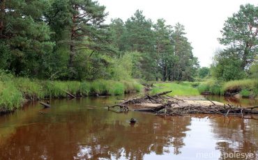 Фото из архива МП