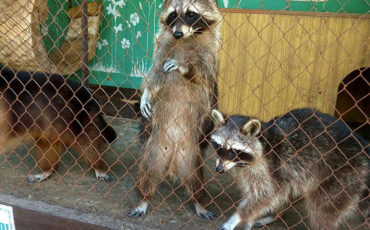 Фото со страницы зоопарка в соцсети