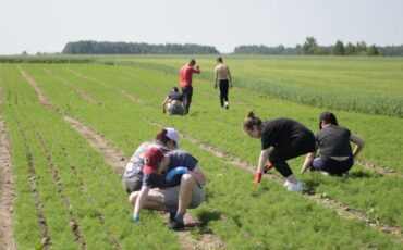 Фото используется в качестве иллюстрации