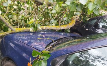 На улице Центральной, 76