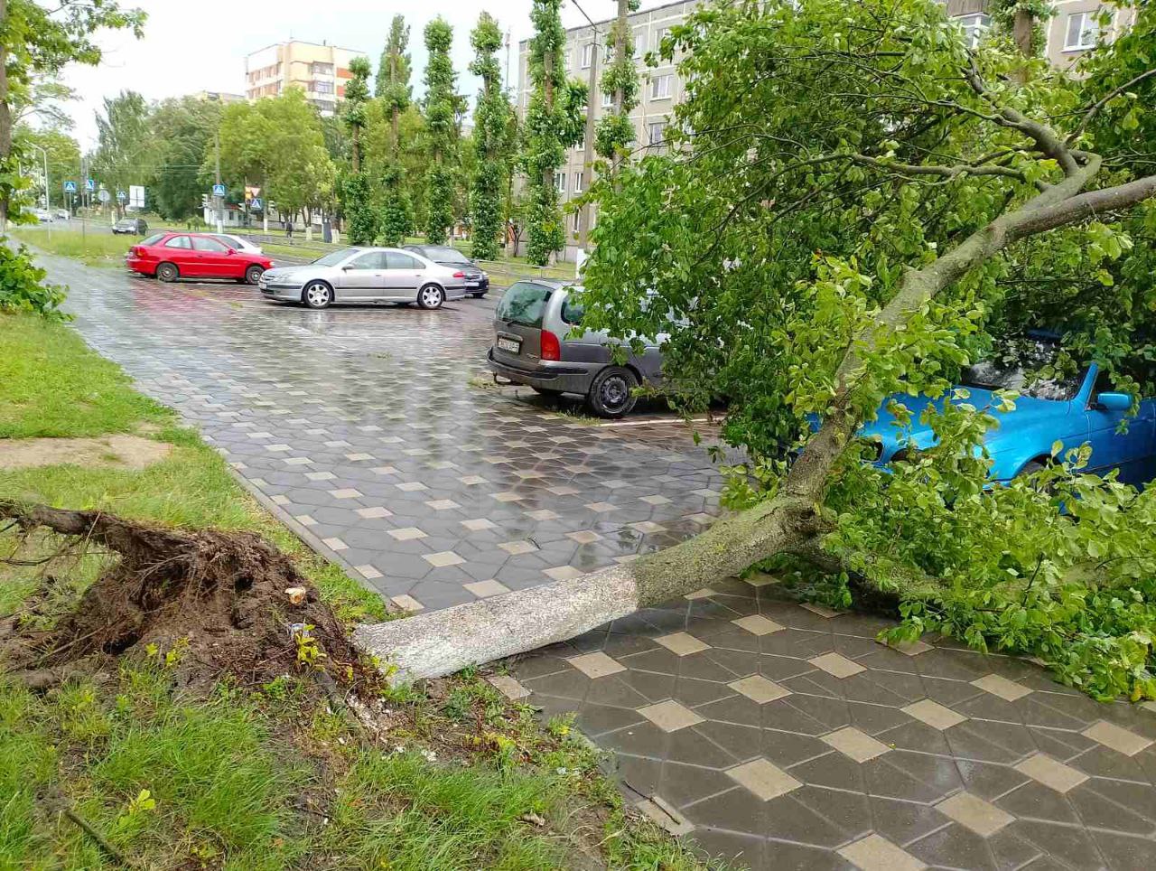 Фото : Пинский горисполком