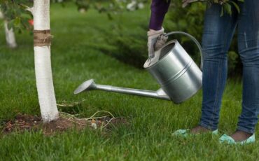 Фото использовано в качестве иллюстрации, topfermer.ru