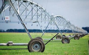 Фото использовано в качестве иллюстрации