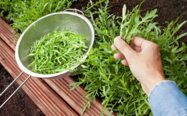 NinaMalyna / Shutterstock