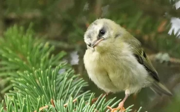 Фото Лилии Кохнович