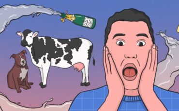 Обложка: Аня Исаченко / Лайфхакер