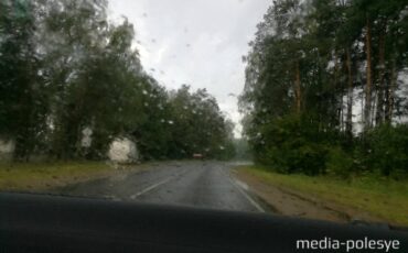 Дорога, дождь, природа