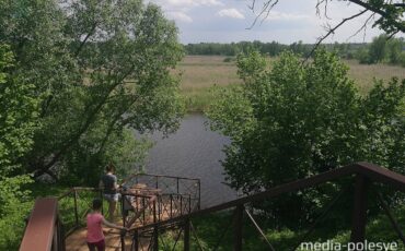 Природа, река Свислочь