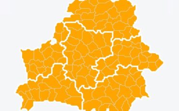 Скриншот карты запретов и ограничений на посещение лесов, 17 августа 2023 года. Скриншот: сайт Министерства лесного хозяйства Беларуси