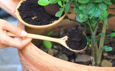 Обложка: Monthira / Shutterstock