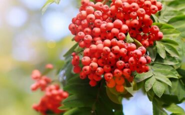 Фото иллюстрационное